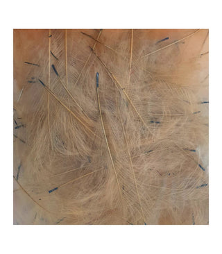 Marc Petitjean CdC (1g Packs)