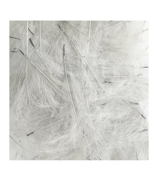 Marc Petitjean CdC (1g Packs)