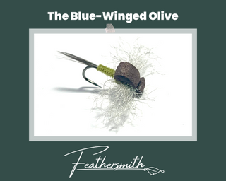 Blue-Winged Olive - Signature Series Fly Tying Kit